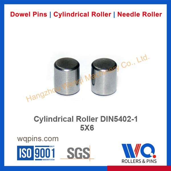 Cylindrical Roller Din5402-1