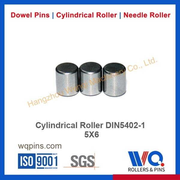 Cylindrical Roller Din5402-1